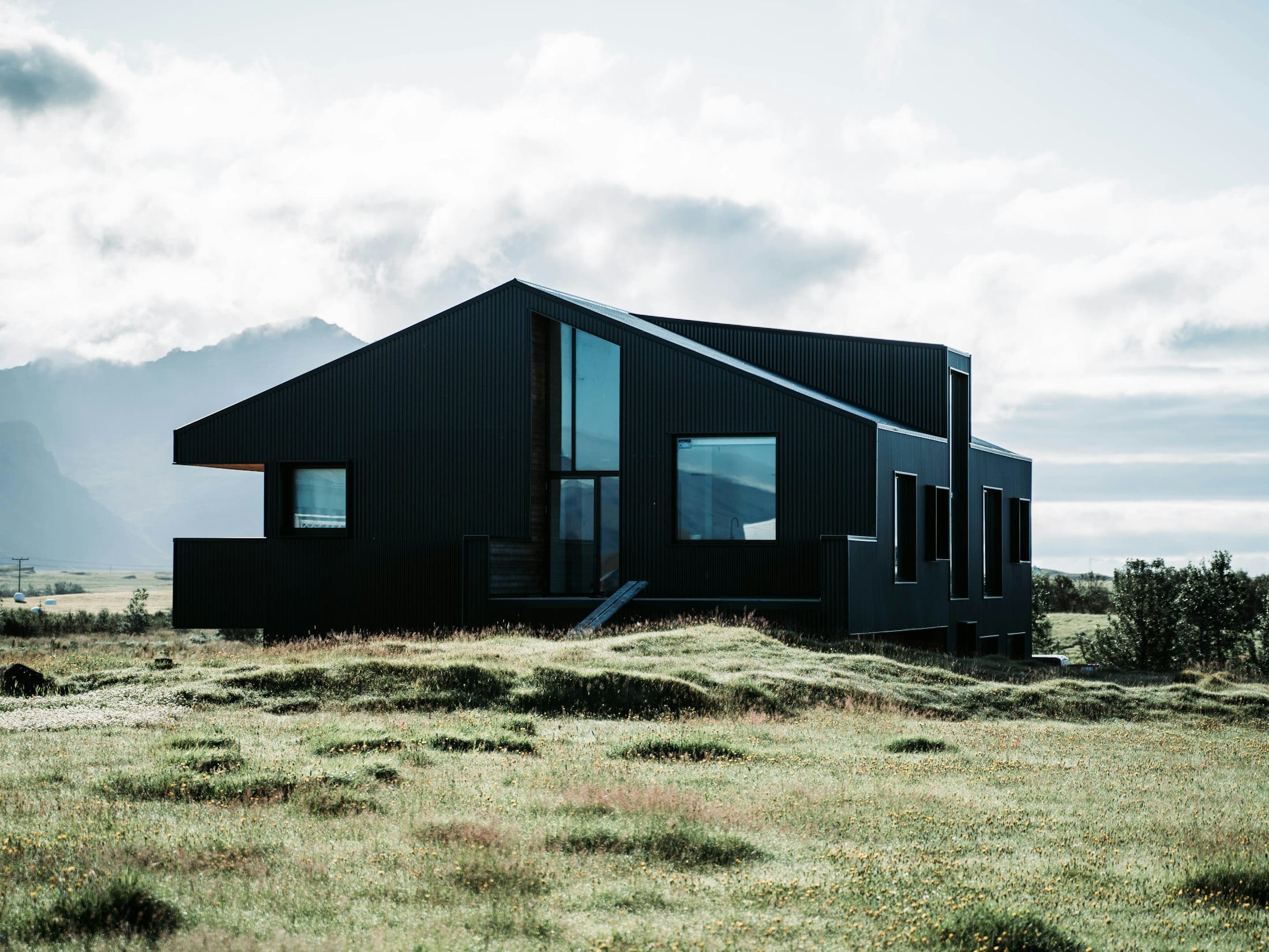Modern black house on a meadow