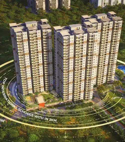 Abhee Codename New Dimension Scotland Theme Elevation